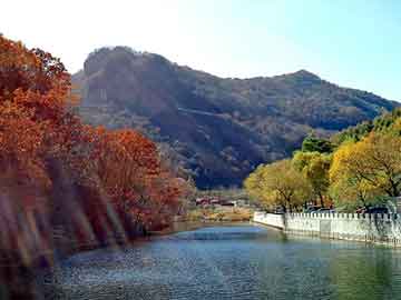 新澳天天开奖资料大全旅游团，主持人嘴对嘴传活虫